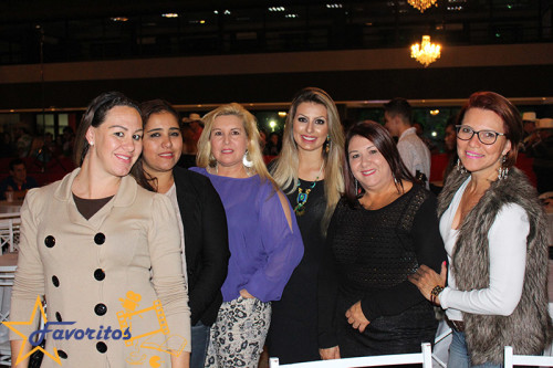 FAICI Rainha semi final indaiatuba blog favoritos (29)