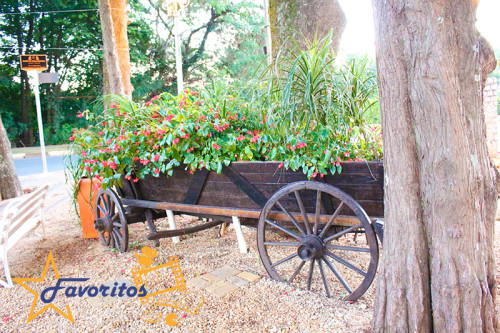 Turismo Holambra Blog Favoritos Campinas Indaituba (11)