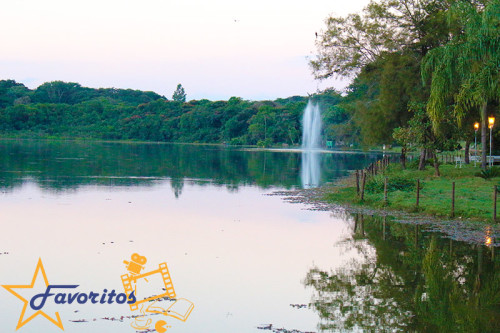 Turismo Holambra Blog Favoritos Campinas Indaituba (12)