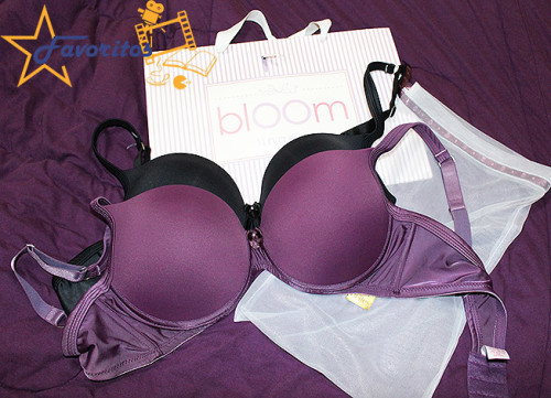 Bloom Lingerie Indaiatuba Blog Favoritos sutiã (2)