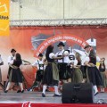 FENUI Indaiatuba Festa das Nações 2015 Blog Favoritos (23)