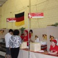 Indaiatuba Festa das Nações 2015 Blog Favoritos (4)