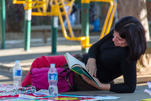 Piquenique Literário Itu Blog Favoritos (4)