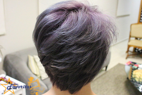 Lançamento do novo produto da L'oreal, o Vitamino Color AOX no salão Jian Benderovicz Indaiatuba Blog Favoritos (10)