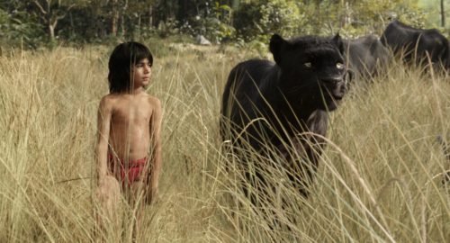critica do filme mogli o menino lobo blog favoritos 03