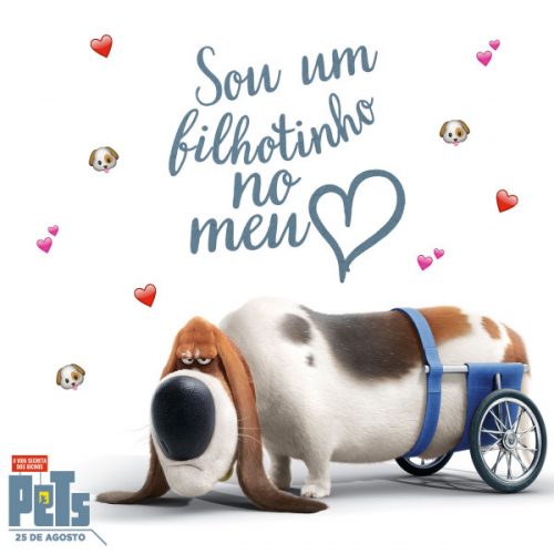 Crítica do filme Pets – A Vida Secreta dos Bichos Blog Favoritos (1)