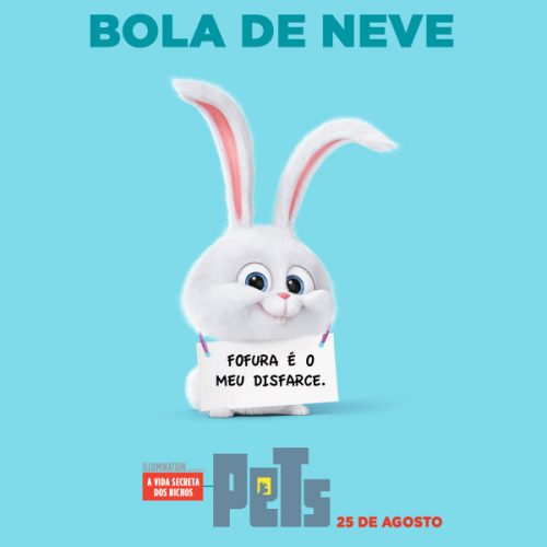 Crítica do filme Pets – A Vida Secreta dos Bichos Blog Favoritos (4)