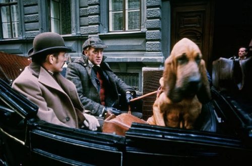 Especial Dia dos Pais filmes para ver com ele blog favoritos 06