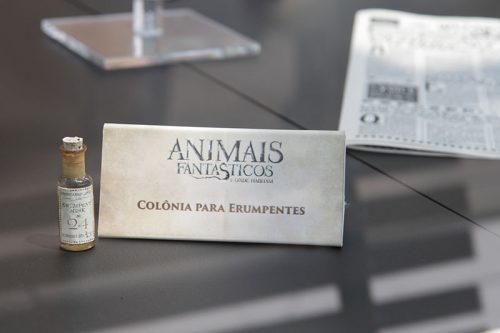 figurinos-e-aderecos-originais-de-animais-fantasticos-chegam-em-sao-paulo-blog-sobre-favoritos-7