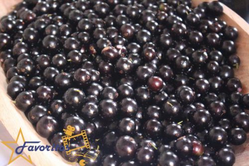 livro-mesa-paulista-tradicional-apresenta-os-sabores-de-sp-blog-sobre-favoritos-4